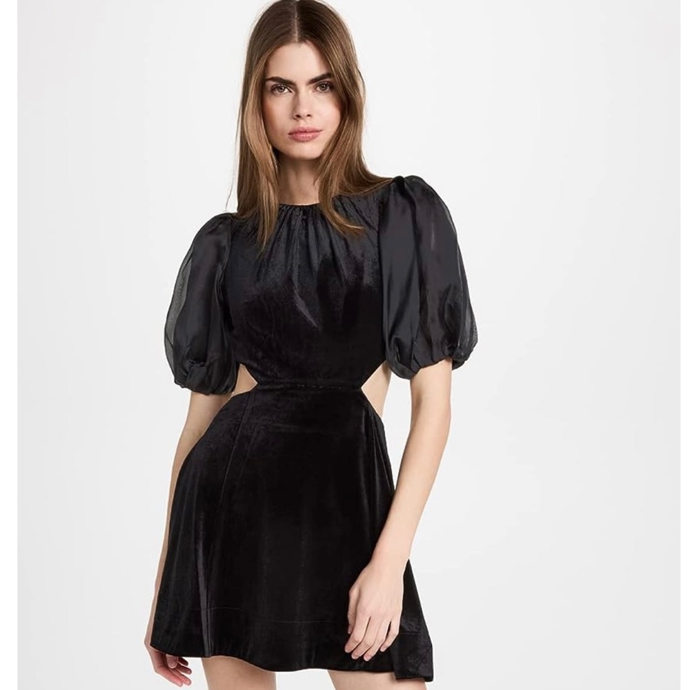 NWT Bardot Women's Malina Velour Mini Dress SZ 4/S